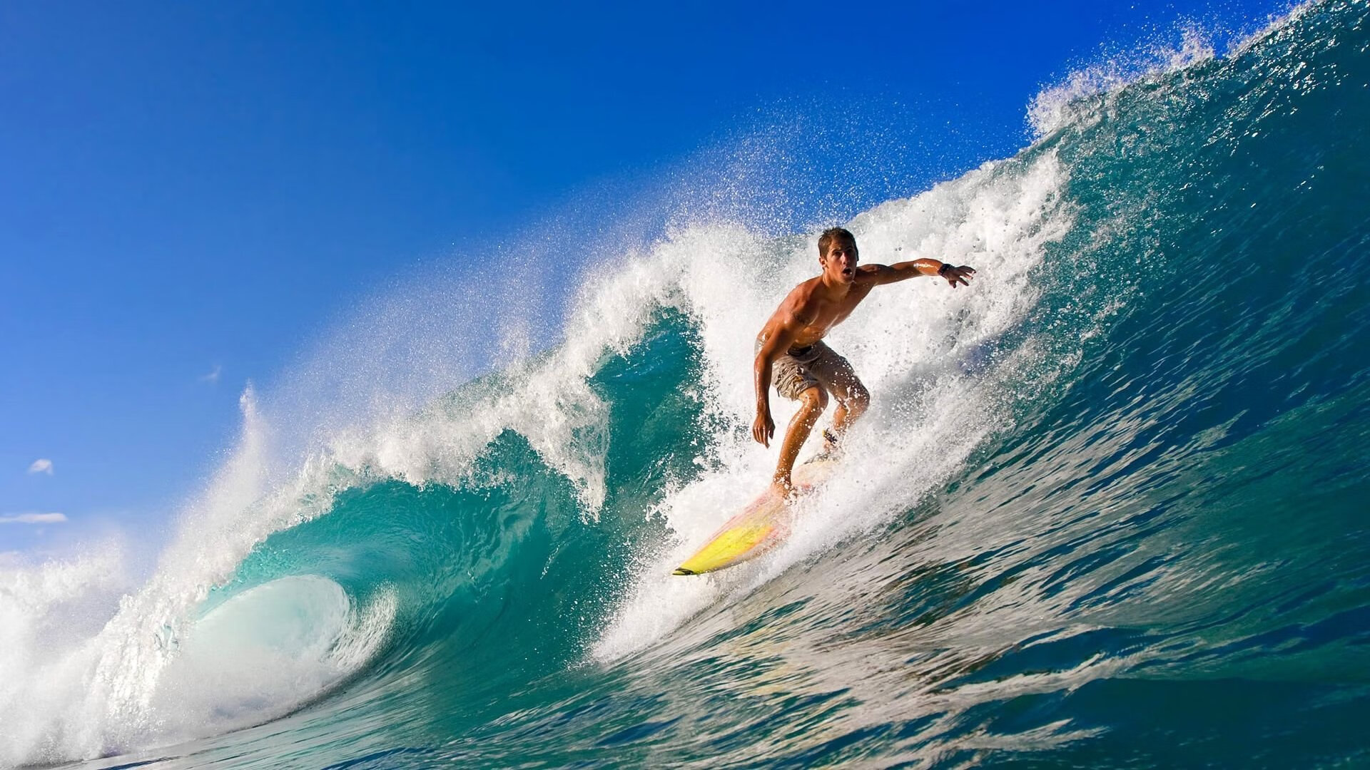 德克斯用坚韧精神征服赛场挑战，德克斯特怎么过