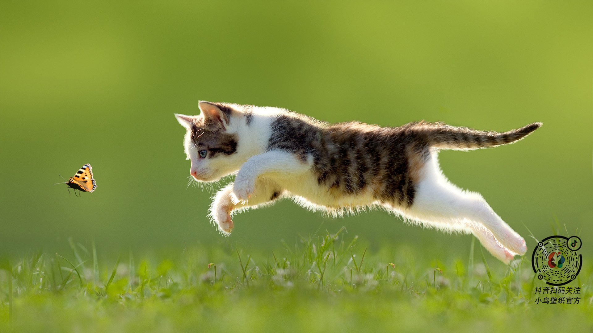 塔代伊·波加查赢得环法和环意双冠，创历史，塔代伊·波加查的女朋友